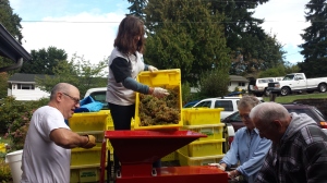 crushing wineclub sauvignon blanc