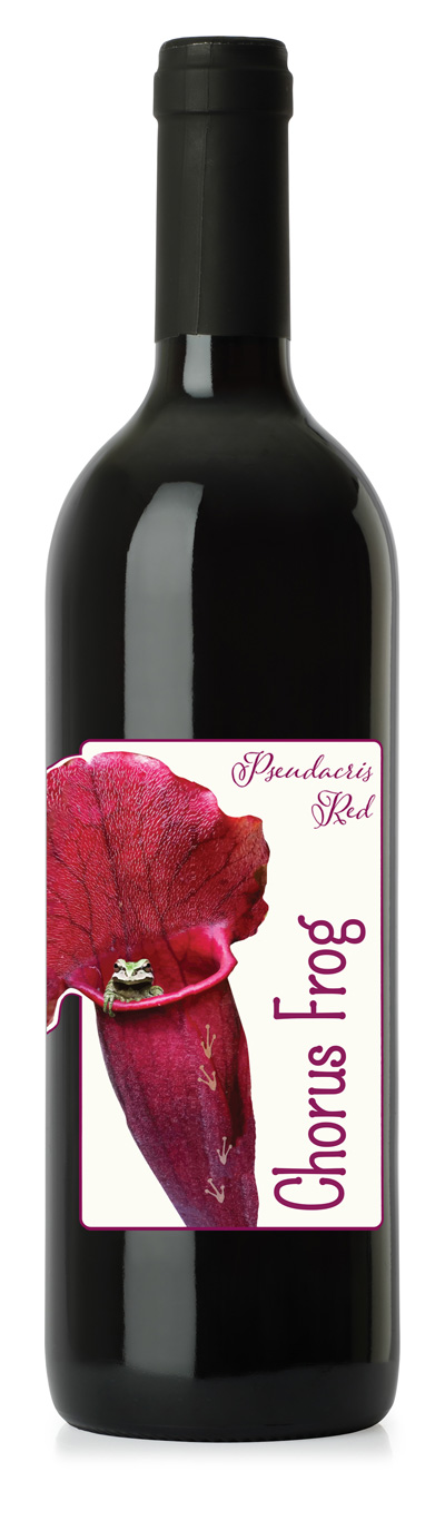 red-bottle red wine bottle
