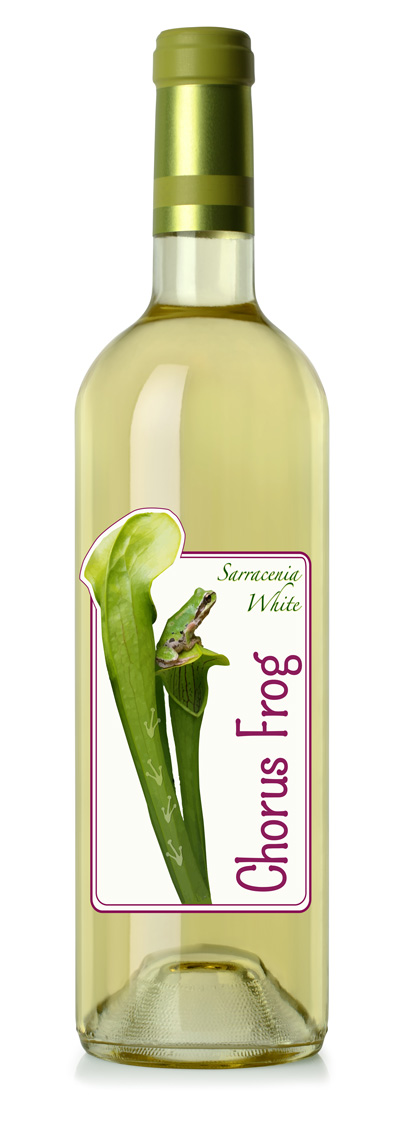 sarracenia white wine bottle