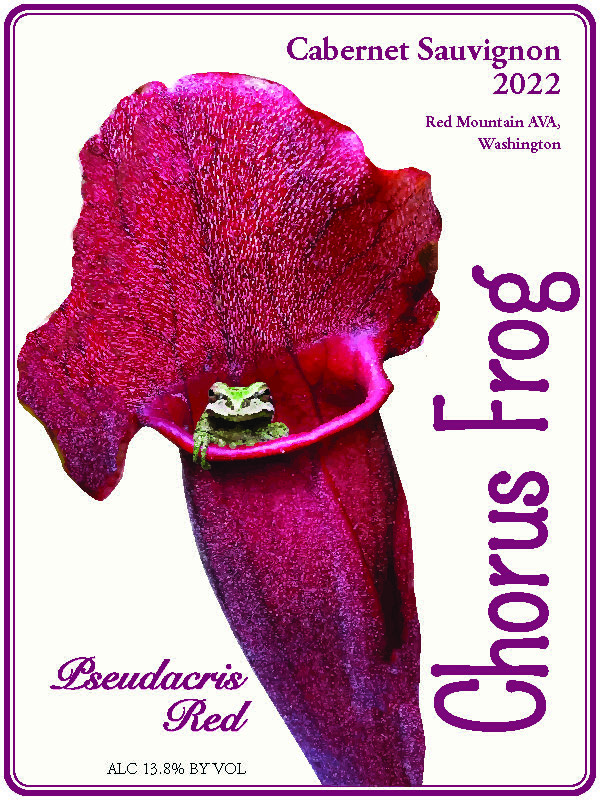 2022 Cabernet Sauvignon Label