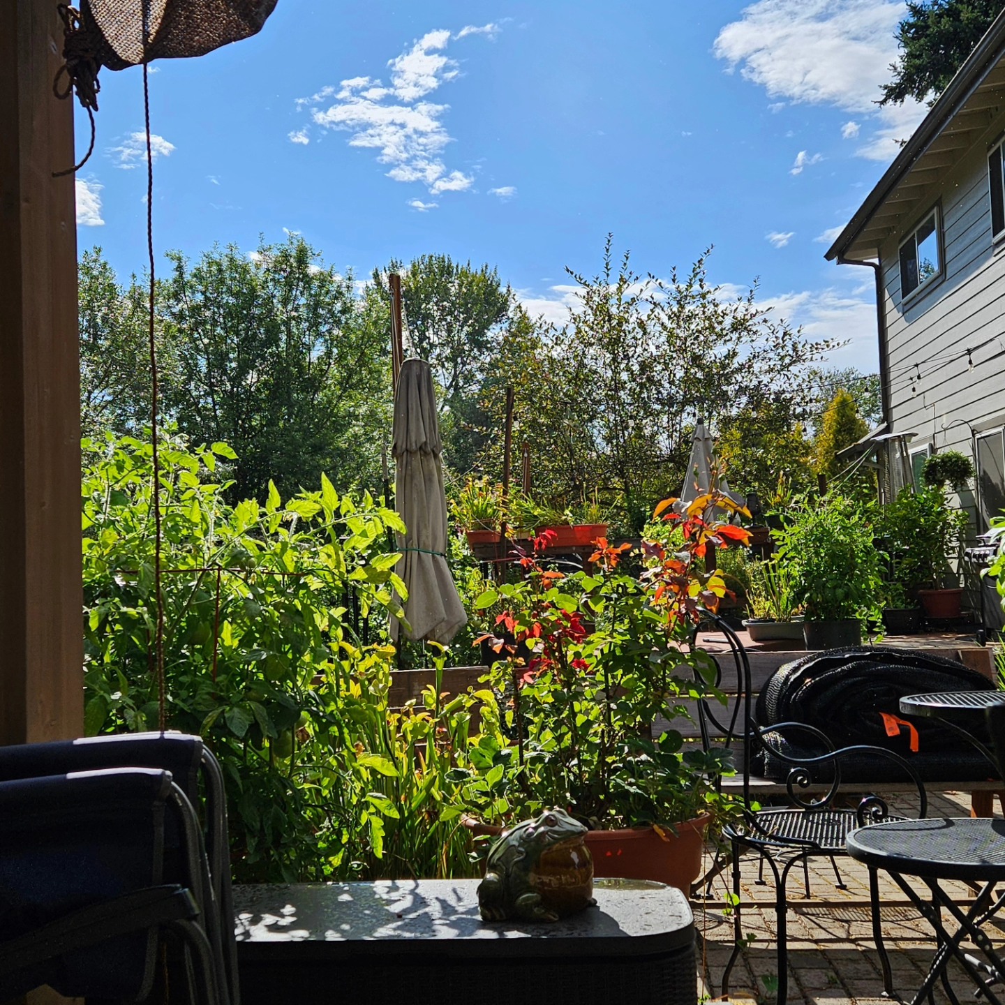 chorus_frog_winery_patio_view